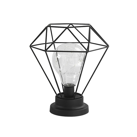 Image of Edison Style Metal Terrarium Lamp Warm White LEDs Wire Lights Battery Operated Night Lamp