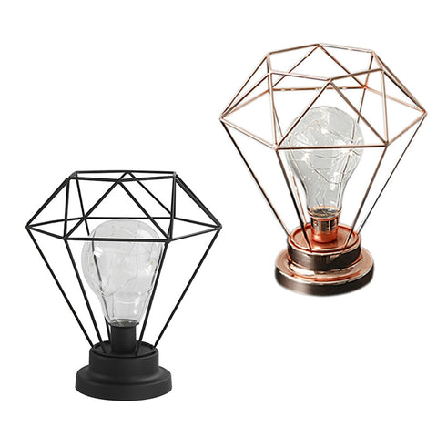 Image of Edison Style Metal Terrarium Lamp Warm White LEDs Wire Lights Battery Operated Night Lamp