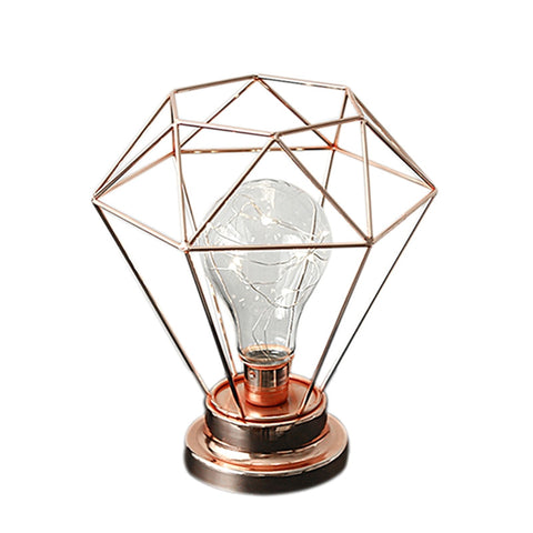 Image of Edison Style Metal Terrarium Lamp Warm White LEDs Wire Lights Battery Operated Night Lamp